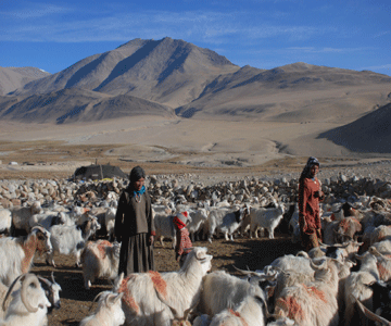 discover-of-ladakh-