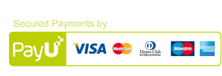 Payment Accepted